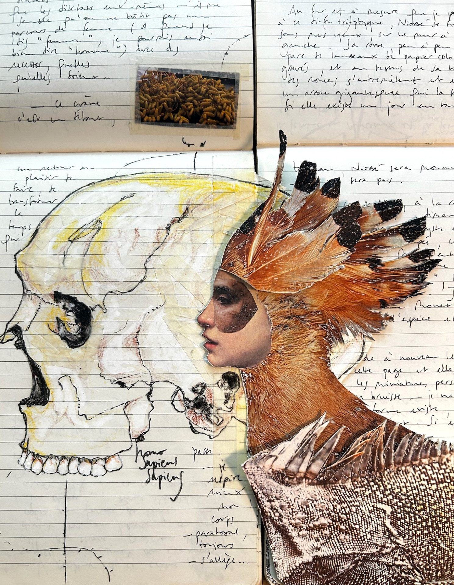 Exposition Sophie ACHILLI