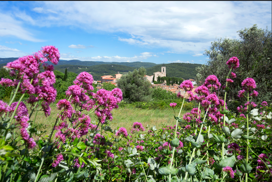 Les secrets de la Dracénie, Flayosc