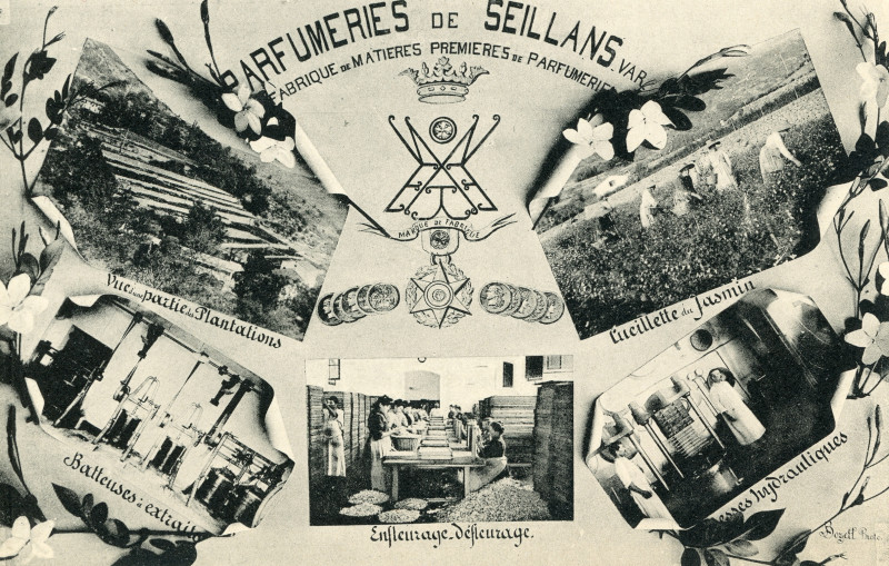 Les savoir-faire liés au parfum