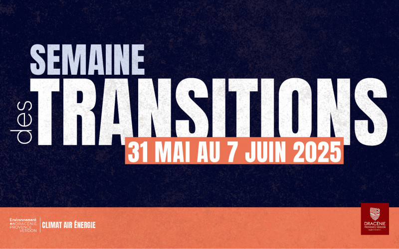 transition-1195